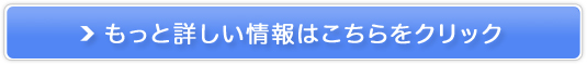_ېY+H@ہufC[oXv̔TCg